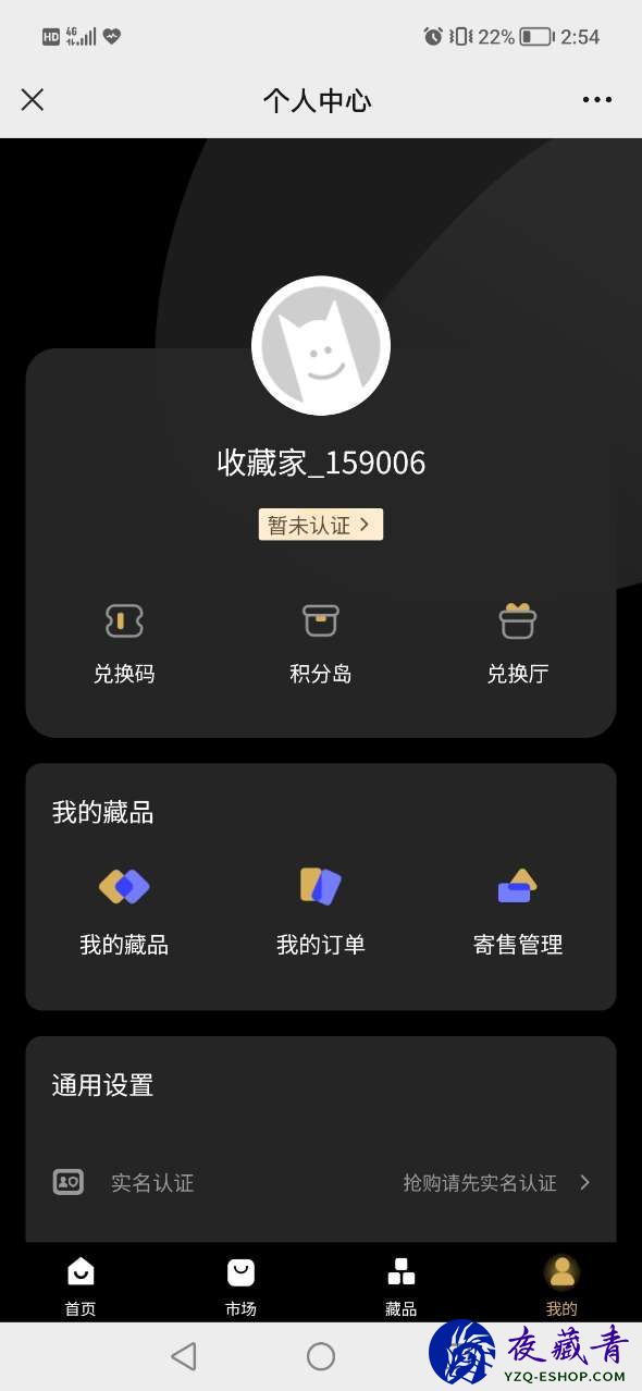 嘉熠元艺术app